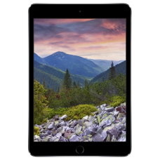 Apple iPad mini 3 16Gb Wi-Fi + Cellular Gray