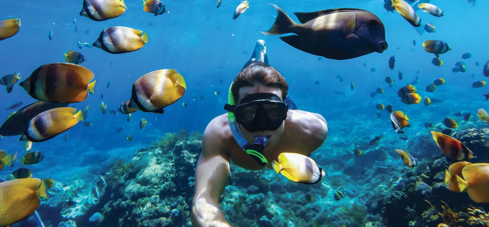 Водонепроницаемый бокс GoPro HERO8 Dive Housing - герметичная конструкция