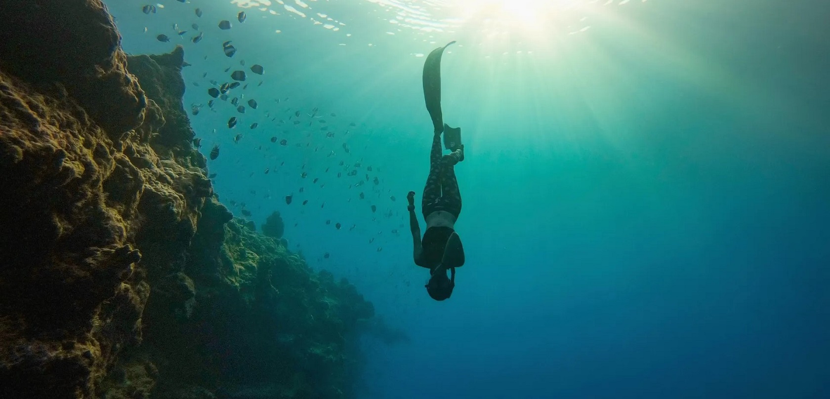 GoPro Dive Housing HERO8 - вид сзади